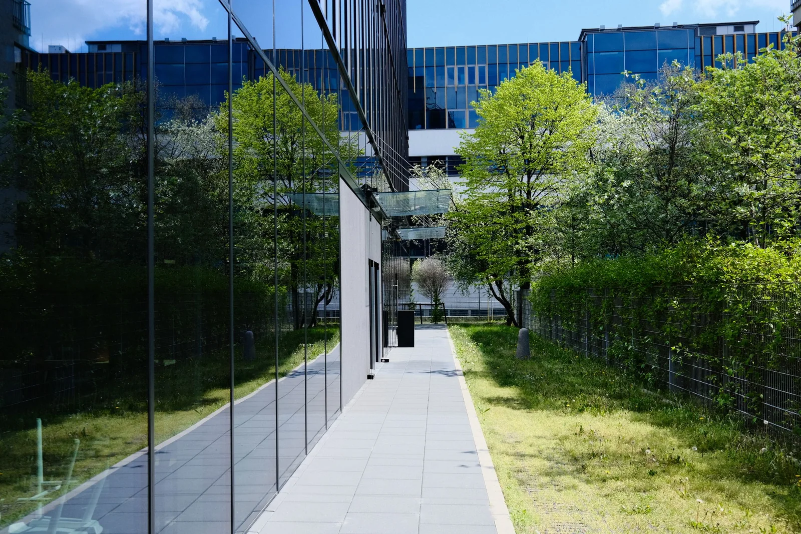 A glass office building on a clear day